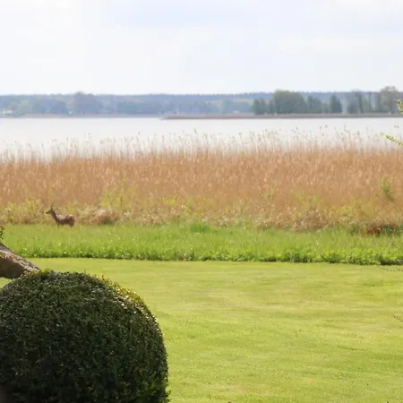 Alter Krug App 06 * 维克